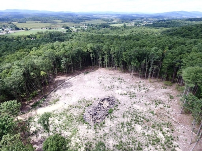 Hunting Land For Sale In Wythe County VA - image 10