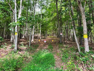Hunting Land For Sale In Wythe County VA - image 20