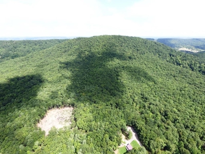 Hunting Land For Sale In Wythe County VA - image 3