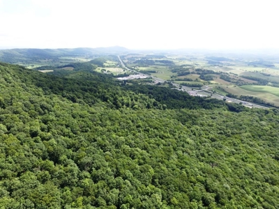 Hunting Land For Sale In Wythe County VA - image 6