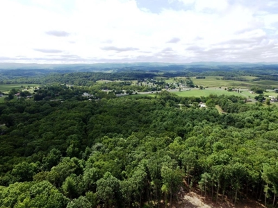 Hunting Land For Sale In Wythe County VA - image 9