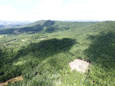 Hunting Land For Sale In Wythe County VA - image 4