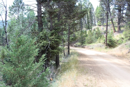 ~14 Acre Gold Mining Claim & Hunting Retreat Near Basin, MT - image 3