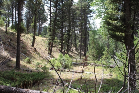 ~14 Acre Gold Mining Claim & Hunting Retreat Near Basin, MT - image 31