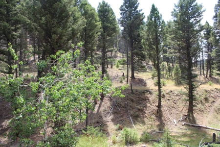 ~14 Acre Gold Mining Claim & Hunting Retreat Near Basin, MT - image 36