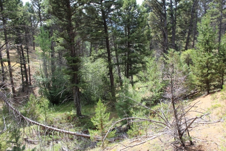~14 Acre Gold Mining Claim & Hunting Retreat Near Basin, MT - image 37