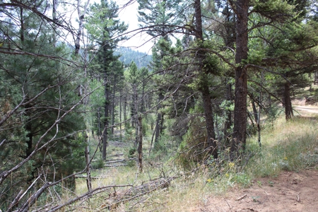 ~14 Acre Gold Mining Claim & Hunting Retreat Near Basin, MT - image 4