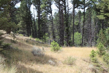 ~14 Acre Gold Mining Claim & Hunting Retreat Near Basin, MT - image 27
