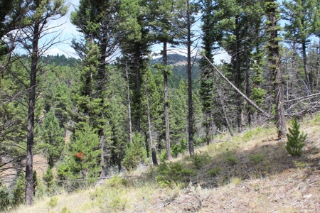 ~14 Acre Gold Mining Claim & Hunting Retreat Near Basin, MT - image 25