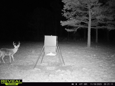 East Texas Timber/Hunting/Recreational Land For Sale - image 16