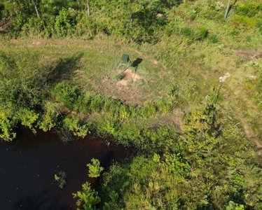 East Texas Timber/Hunting/Recreational Land For Sale - image 12