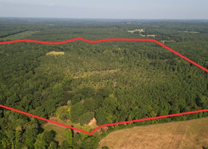 East Texas Timber/Hunting/Recreational Land For Sale - image 1