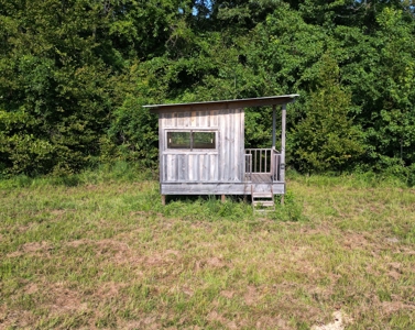 East Texas Timber/Hunting/Recreational Land For Sale - image 9