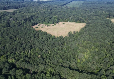 East Texas Timber/Hunting/Recreational Land For Sale - image 8