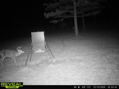 East Texas Timber/Hunting/Recreational Land For Sale - image 36