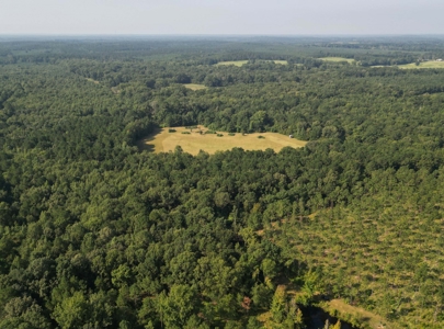 East Texas Timber/Hunting/Recreational Land For Sale - image 15
