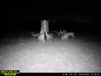 East Texas Timber/Hunting/Recreational Land For Sale - image 20