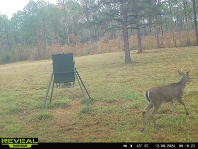 East Texas Timber/Hunting/Recreational Land For Sale - image 30