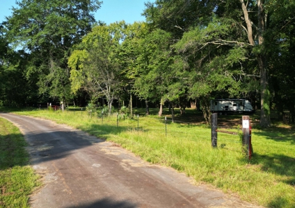 East Texas Timber/Hunting/Recreational Land For Sale - image 2