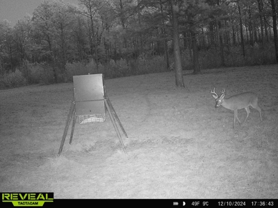 East Texas Timber/Hunting/Recreational Land For Sale - image 34