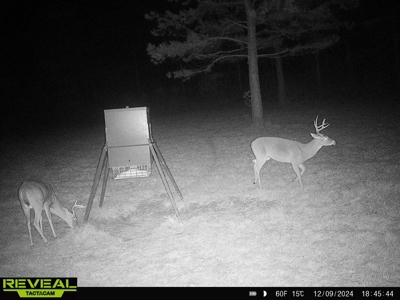 East Texas Timber/Hunting/Recreational Land For Sale - image 31