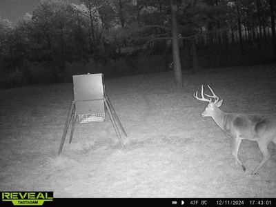 East Texas Timber/Hunting/Recreational Land For Sale - image 37
