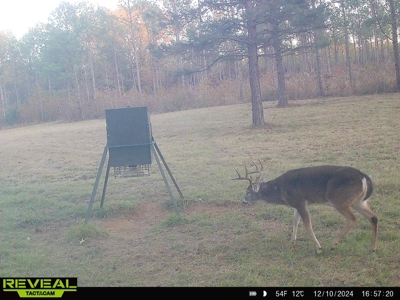 East Texas Timber/Hunting/Recreational Land For Sale - image 33