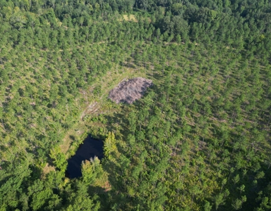 East Texas Timber/Hunting/Recreational Land For Sale - image 6