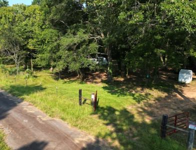 East Texas Timber/Hunting/Recreational Land For Sale - image 3