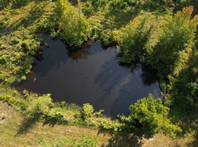 East Texas Timber/Hunting/Recreational Land For Sale - image 11
