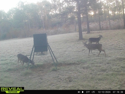 East Texas Timber/Hunting/Recreational Land For Sale - image 38