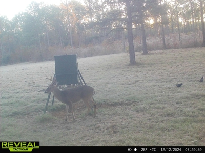 East Texas Timber/Hunting/Recreational Land For Sale - image 40