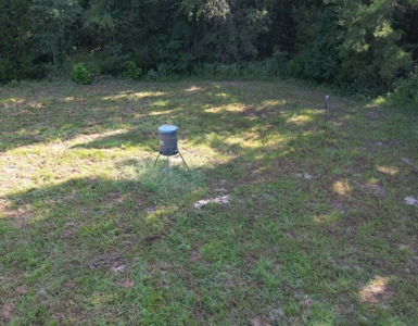 East Texas Timber/Hunting/Recreational Land For Sale - image 10