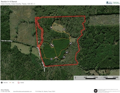 East Texas Timber/Hunting/Recreational Land For Sale - image 29