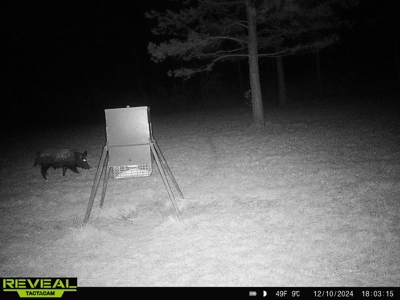 East Texas Timber/Hunting/Recreational Land For Sale - image 35