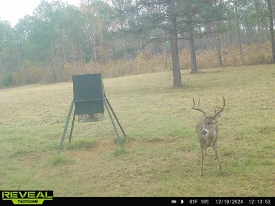 East Texas Timber/Hunting/Recreational Land For Sale - image 32