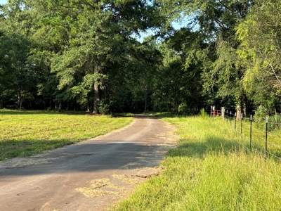 East Texas Timber/Hunting/Recreational Land For Sale - image 27
