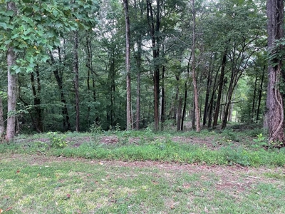Land in Albany, Kentucky - image 5