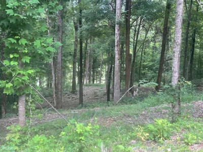 Land in Albany, Kentucky - image 4