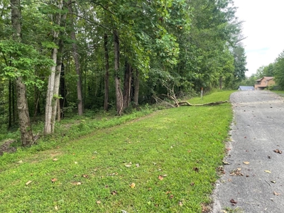 Land in Albany, Kentucky - image 1