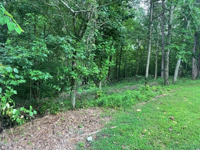 Land in Albany, Kentucky - image 2