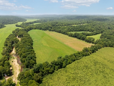 Farm For Sale In Tennessee,  2 Homes, Shop, Orchard, Creek - image 17