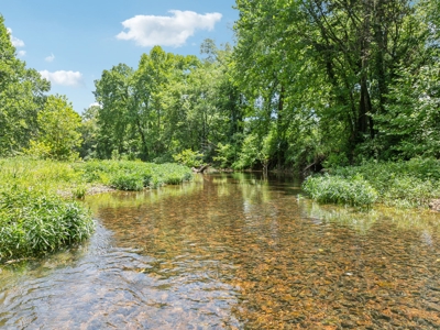 Farm For Sale In Tennessee,  2 Homes, Shop, Orchard, Creek - image 20