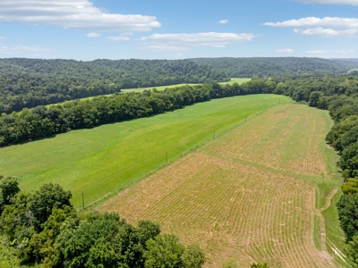 Farm For Sale In Tennessee,  2 Homes, Shop, Orchard, Creek - image 18