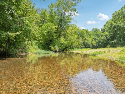 Farm For Sale In Tennessee,  2 Homes, Shop, Orchard, Creek - image 19