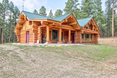 Log Home on Acreage For Sale in Mancos, CO - image 3