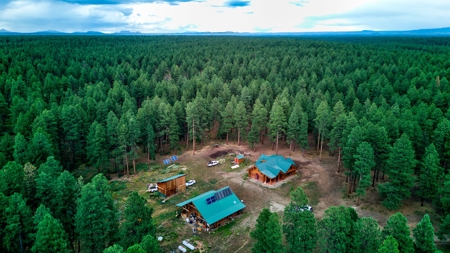 Log Home on Acreage For Sale in Mancos, CO - image 25