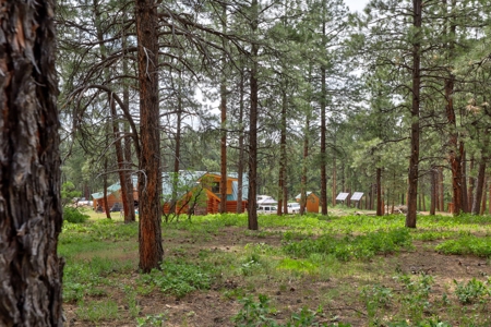 Log Home on Acreage For Sale in Mancos, CO - image 7