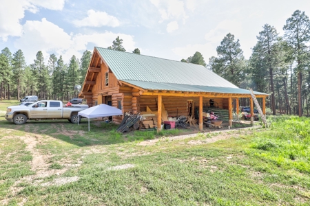 Log Home on Acreage For Sale in Mancos, CO - image 11