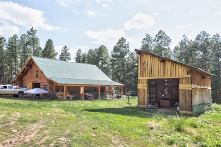 Log Home on Acreage For Sale in Mancos, CO - image 12